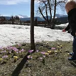 Casa de Férias Alpiner Familienurlaub In Bad Mitterndorf