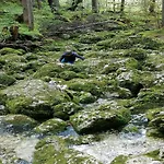 Alpiner Familienurlaub In *