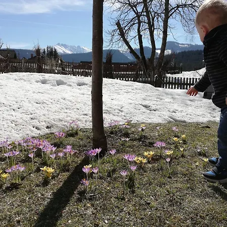 Vakantiehuis Alpiner Familienurlaub In Bad Mitterndorf