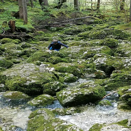 Alpiner Familienurlaub In *