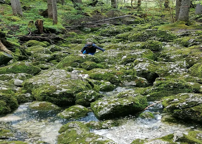 Alpiner Familienurlaub In *